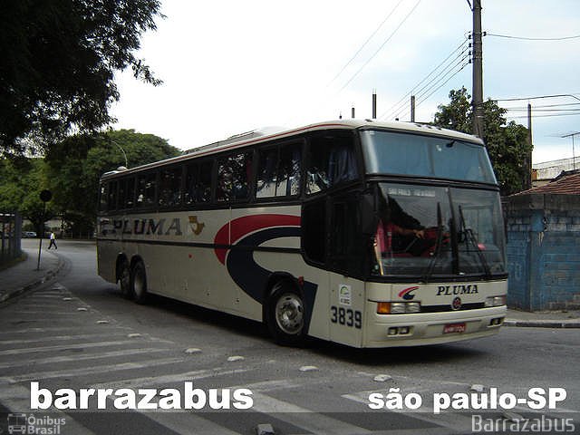Pluma Conforto e Turismo 3839 na cidade de São Paulo, São Paulo, Brasil, por Rodrigo Barraza. Número da foto: #3625583.