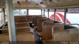 Eucatur - Empresa União Cascavel de Transportes e Turismo 1 na cidade de Cascavel, Paraná, Brasil, por Felipe  Brignol. Número da foto: #3624810.